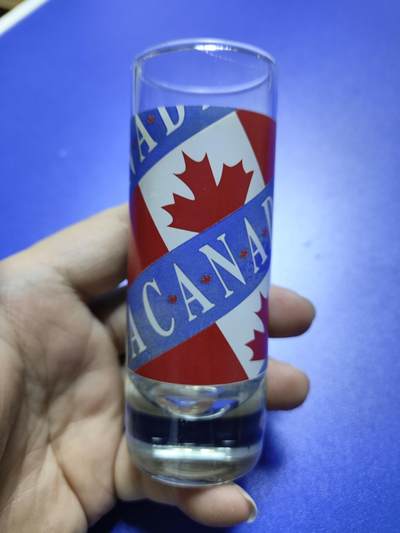 搬档清货：杂七杂八A - 加拿大旅游背回纪念品：口杯，小酒杯