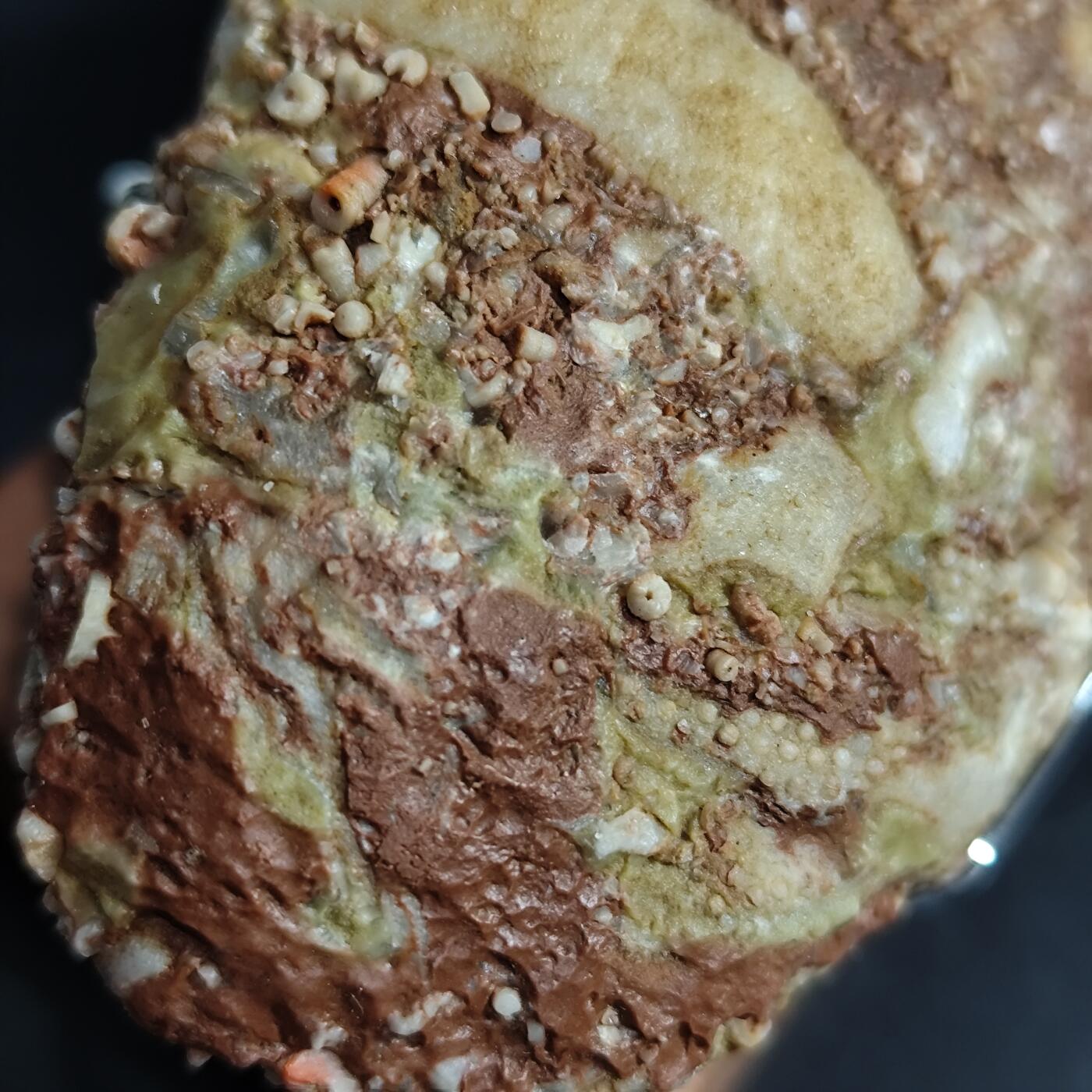 希腊罗马丝路打制币化石【中外钱币放漏】专场！陆小鱼的钱币仓，限时拍卖第071场 少见小精品 五星海百合/各种珊瑚等古生物大集合化石群板 品相一流 非常难得红底生物化石标本 4.5亿年前奥陶纪时期海洋古生物化石标本330g