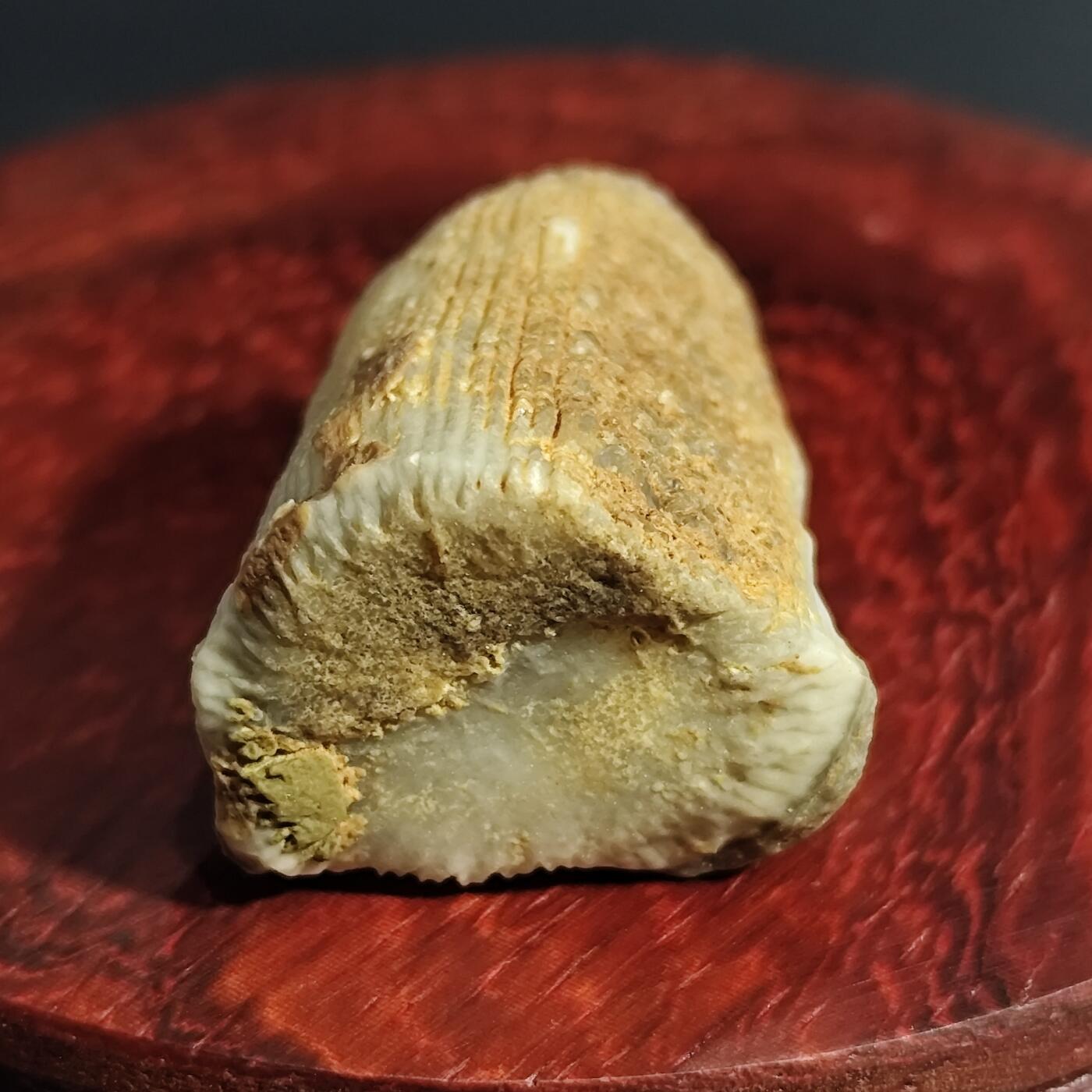 希腊罗马丝路打制币化石【中外钱币放漏】专场！陆小鱼的钱币仓，限时拍卖第071场