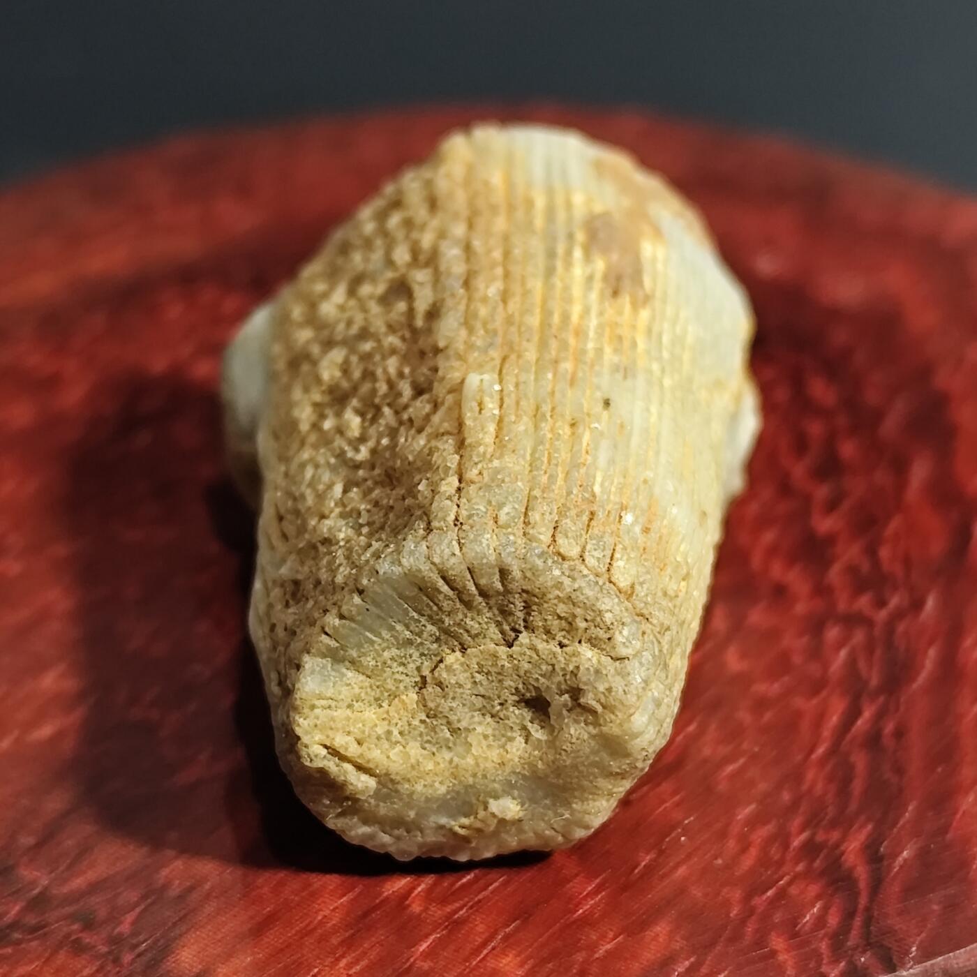 希腊罗马丝路打制币化石【中外钱币放漏】专场！陆小鱼的钱币仓，限时拍卖第071场