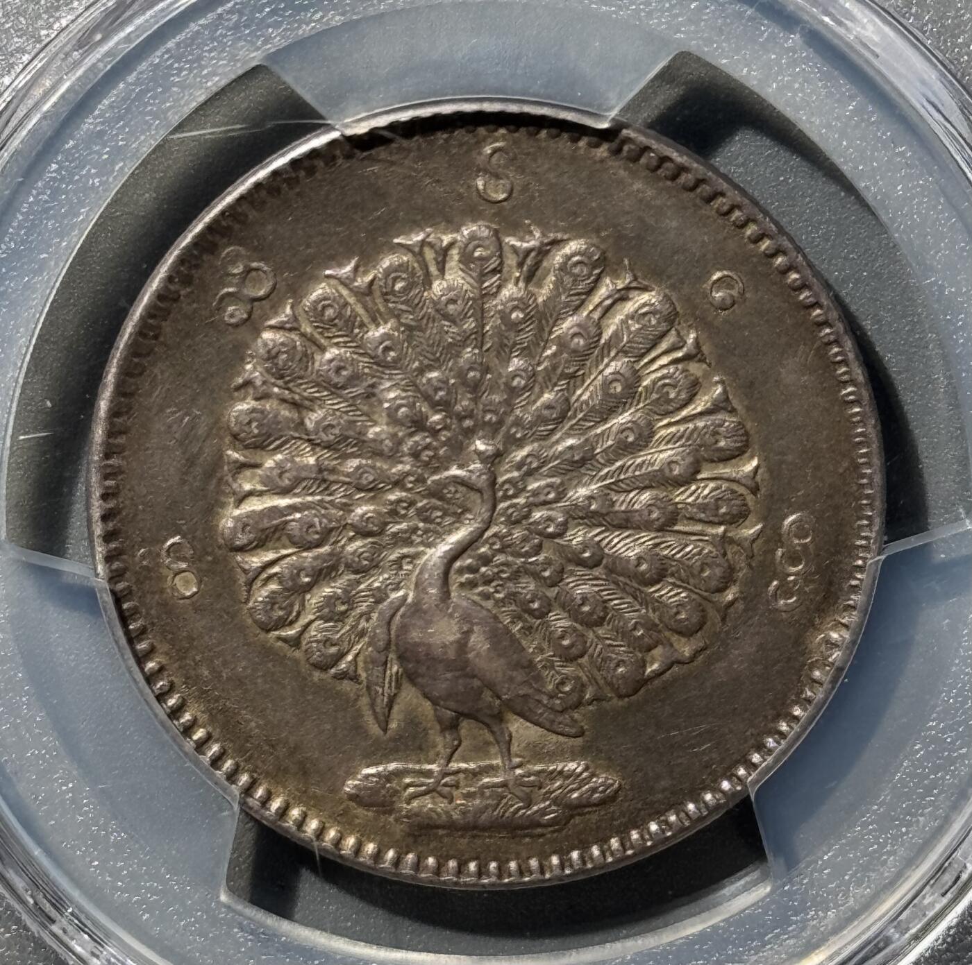 缅甸1852年孔雀银币PCGS-AU55 - 小陈弟弟- 小陈弟弟- 麦稀奇