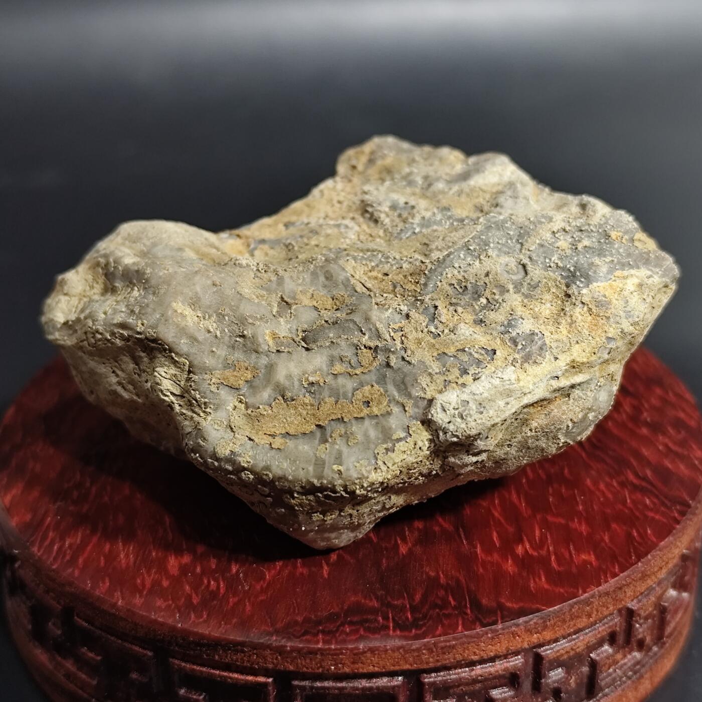 希腊罗马丝路打制币化石【中外钱币放漏】专场！陆小鱼的钱币仓，限时拍卖第071场 特殊品种 灰色珊瑚化石 里面基本已经玉化 纹路特殊 4亿年前泥盆纪时期海洋古生物化石标本156g
