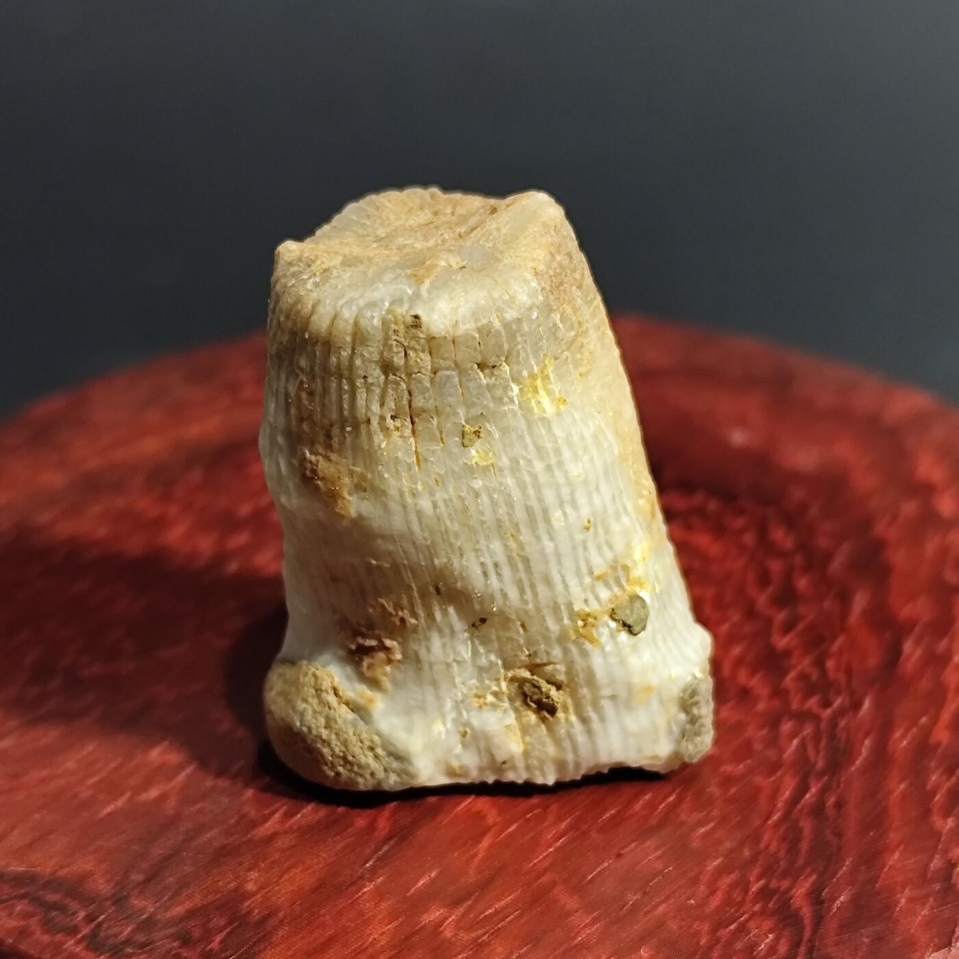 希腊罗马丝路打制币化石【中外钱币放漏】专场！陆小鱼的钱币仓，限时拍卖第071场