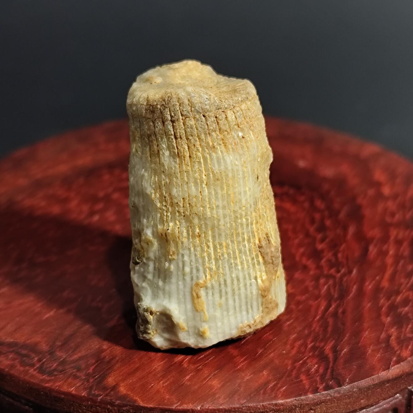 希腊罗马丝路打制币化石【中外钱币放漏】专场！陆小鱼的钱币仓，限时拍卖第071场