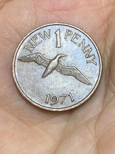 2025年第七十场(总第九十六场）外国好品散币(免佣金) - 英属根西岛🇬🇬1971年1新便士(伊丽莎白二世时期，十进制第一套首发年)