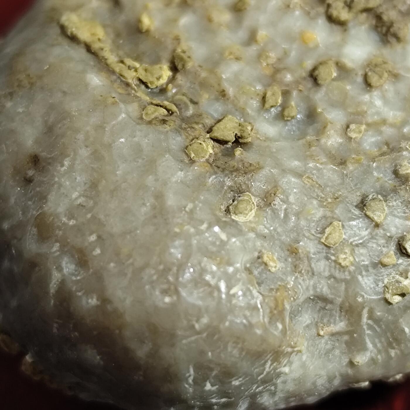 希腊罗马丝路打制币化石【中外钱币放漏】专场！陆小鱼的钱币仓，限时拍卖第071场 全玉化  六方蜂巢珊瑚化石 生物纹路呈六方状 单体小精品 4.5亿年前奥陶纪时期海洋古生物化石标本91g