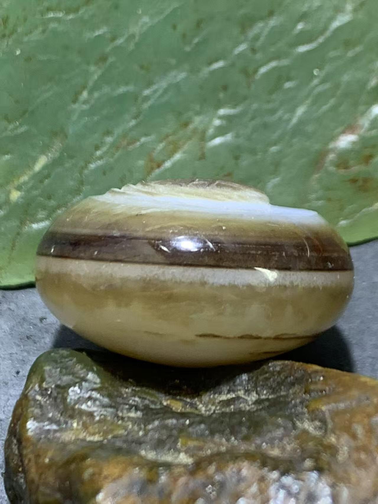 精品亚光药师玛瑙手工雕刻天鹅板珠（背云）一颗。