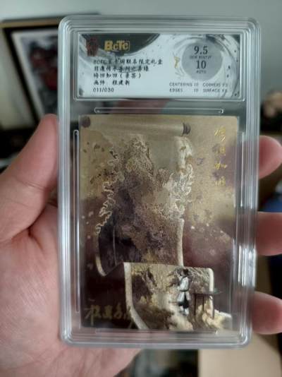 寸草不生扫货团拍卖 第三期 - 玄卡阁 非遗传承系列之苏裱修旧如旧 程建新
011/030 9.5分