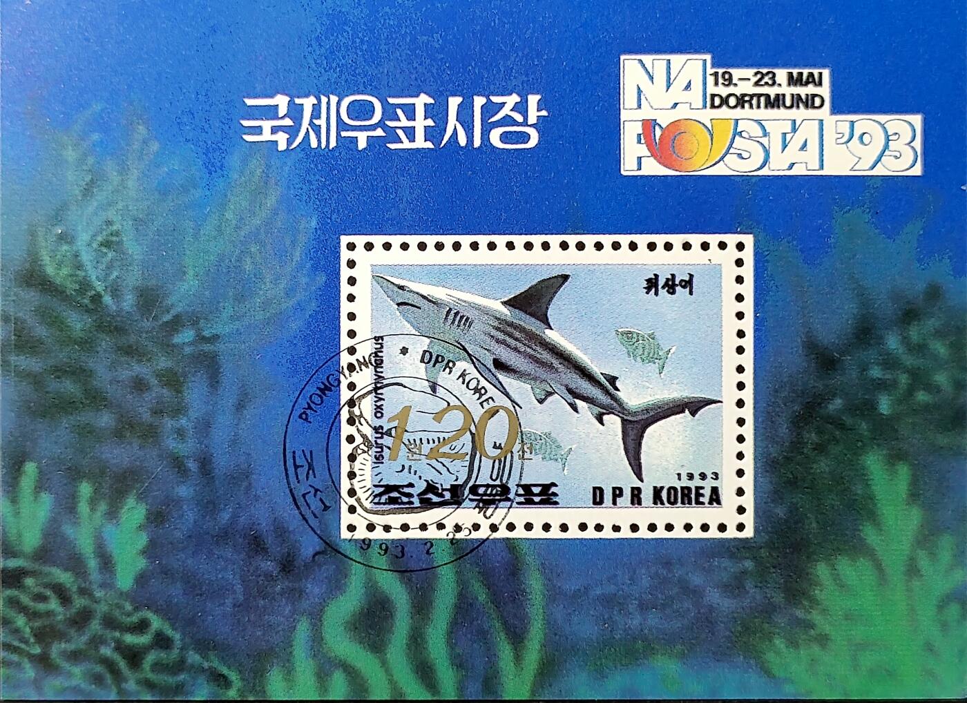 ↓君缘收藏538期☞钱币邮品↓无佣金、可寄存、满30元包邮  朝鲜邮票，1993年海洋鱼类 灰鲭鲨小型张