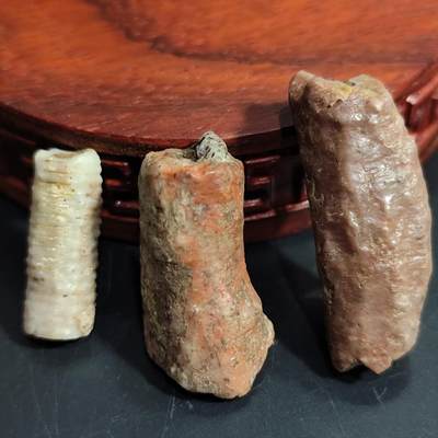 希腊罗马丝路打制币化石【中外钱币放漏】专场！陆小鱼的钱币仓，限时拍卖第071场 - 三种不同时期的海百合颈化石标本 奥陶纪到泥盆纪时期 形态纹路各有特色 非常有研究价值 4.5亿年前-4亿年前海洋古生物化石标本31g