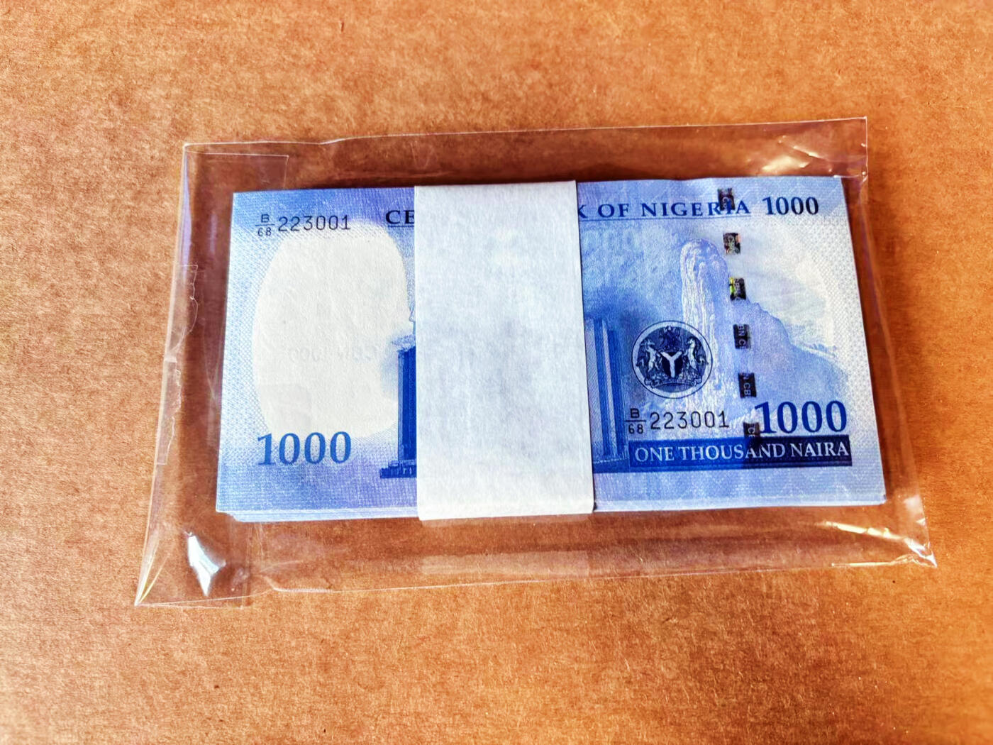 【Blue Auction】世界纸币精拍第699期【精】——18级TOP拍卖/信誉/品质/专业/高效💫  【一刀】尼日利亚 2025年1000奈拉 全新UNC