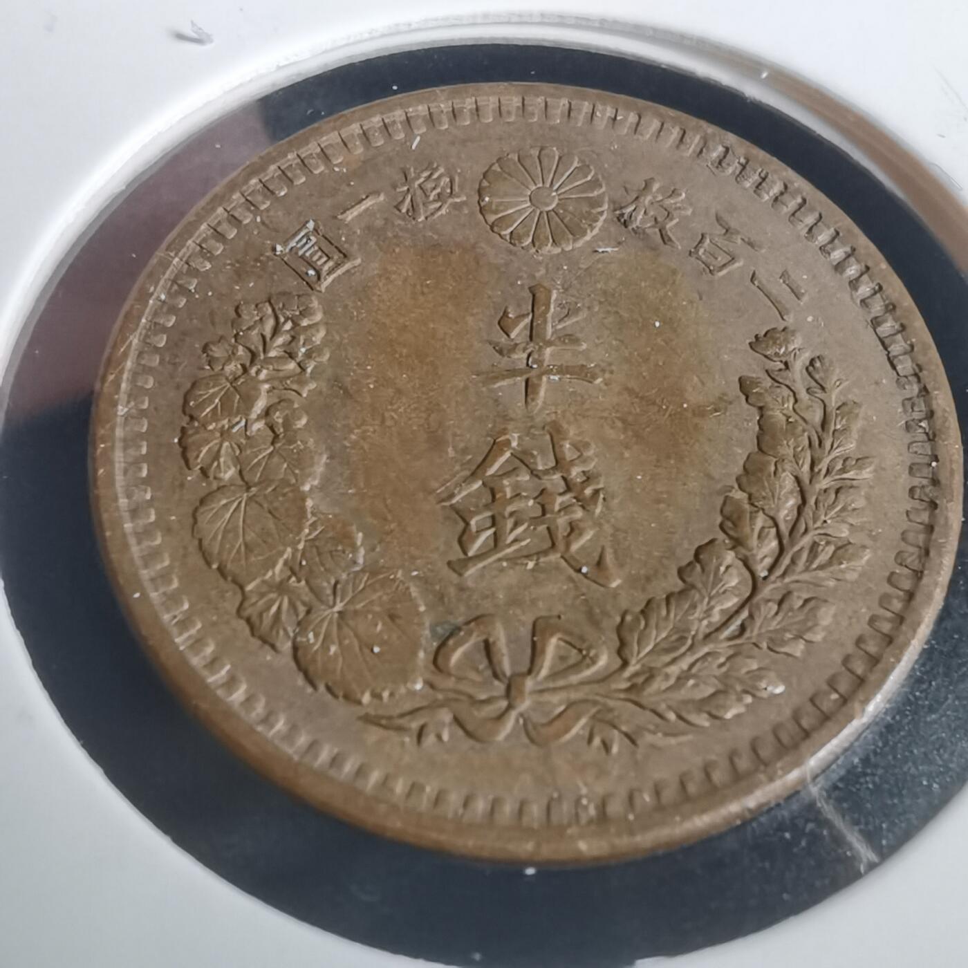 沼泽如烟--第793场
