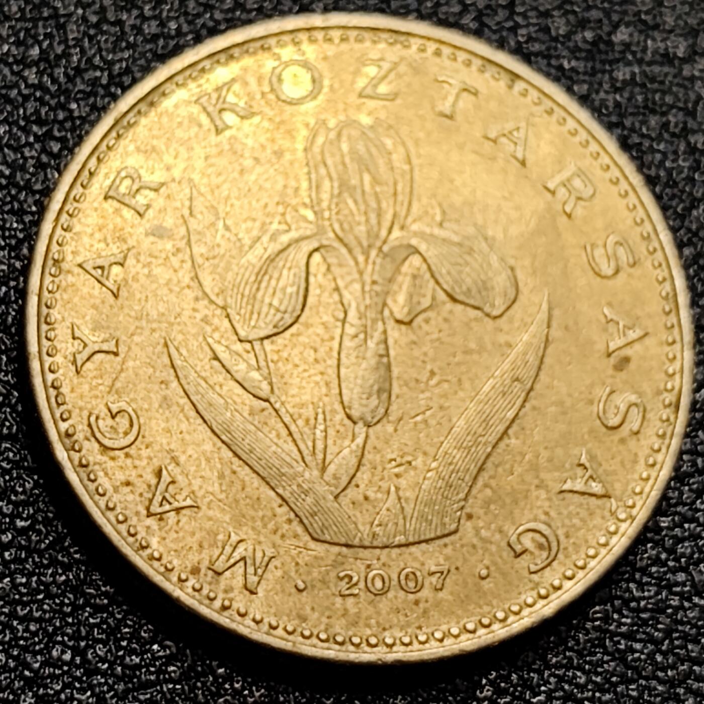 泉币菌-第65场-精品场 90年代 匈牙利20福林铜币 直径26.2mm