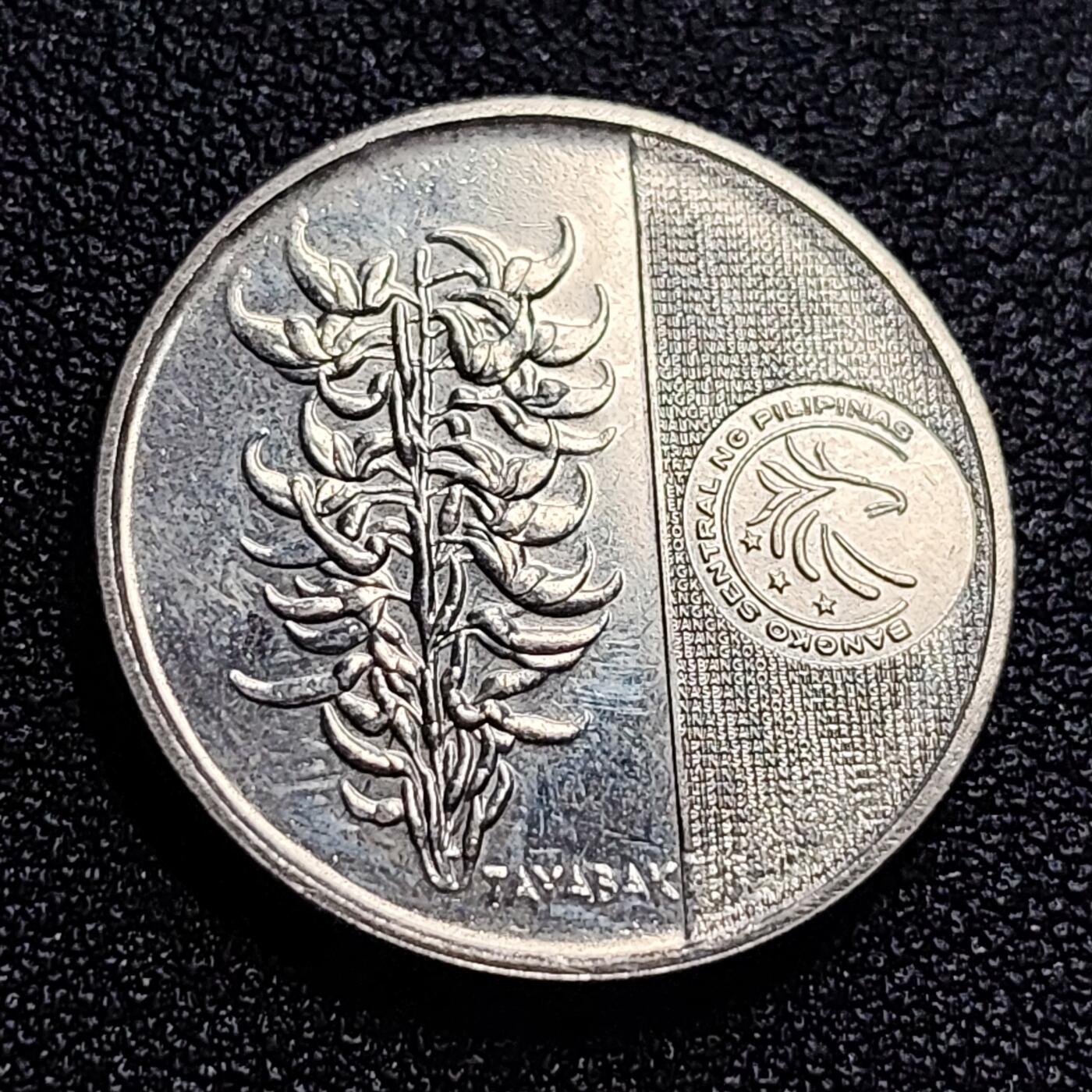 泉币菌-第65场-精品场