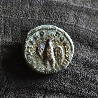 【良泉】第36期【直播场】8月21日晚19.30点开拍！173组，西方古代钱币、杂项专场 - 【古罗马·行省】【马恰诺波里斯】雄鹰，小铜币，2.58克