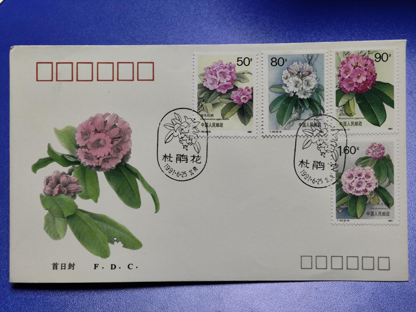 首日封、纪念封、特种封专场 1991年T162《杜鹃花》首日封