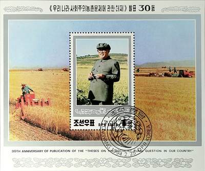 ↓君缘收藏539期☞钱币邮品↓无佣金、可寄存、满30元包邮  - 朝鲜邮票，1994年"我国社会主义农村问题"发表30年金日成小型张