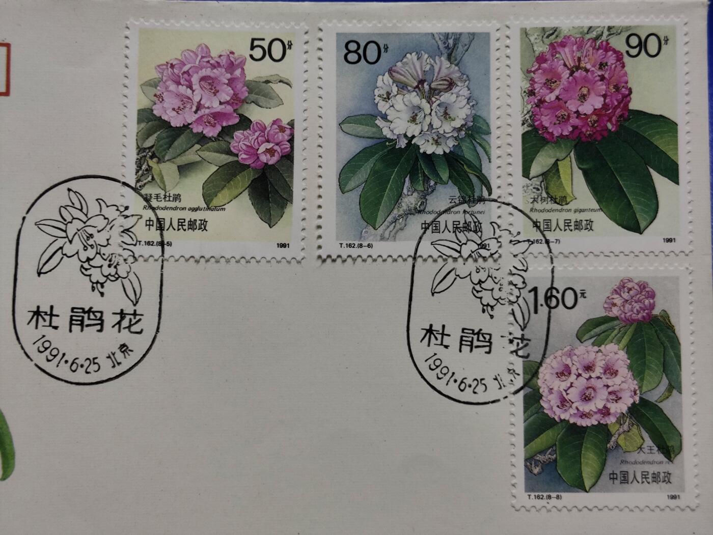 首日封、纪念封、特种封专场 1991年T162《杜鹃花》首日封