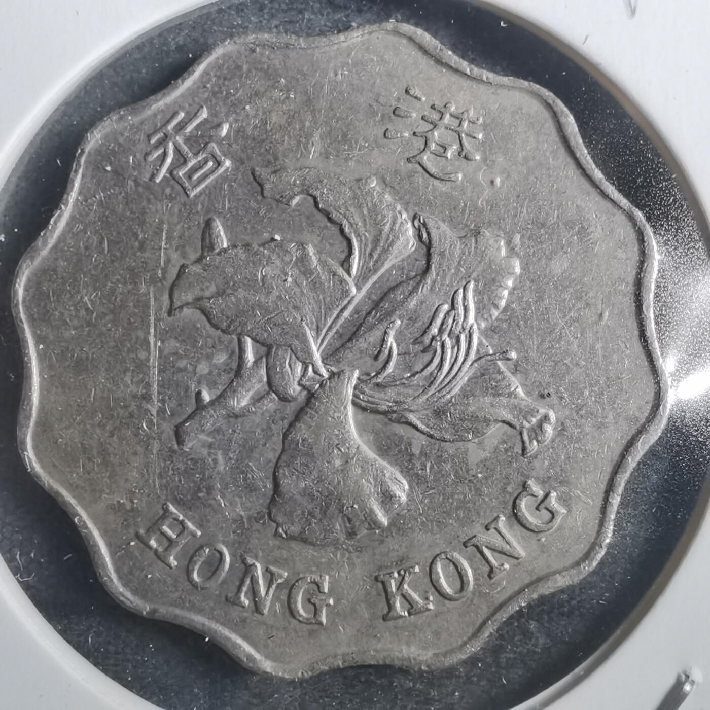 沼泽如烟--第793场