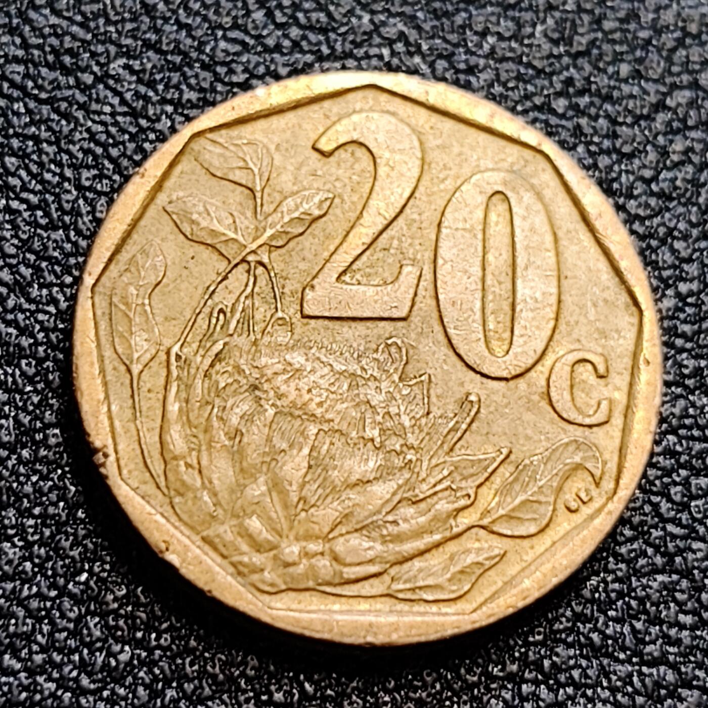 泉币菌-第61场-各国散币场 南非共和国 2004年20分(海神普罗透斯之花) 19mm