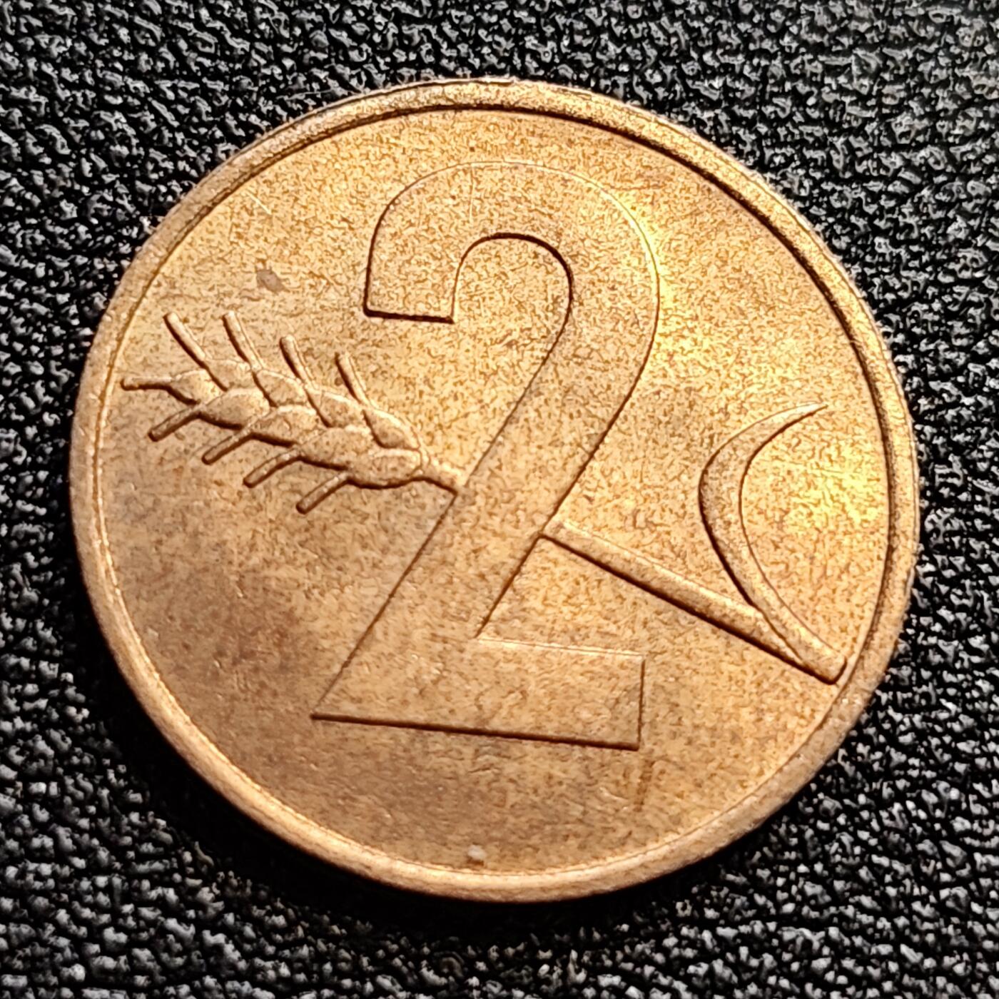 泉币菌-第65场-精品场