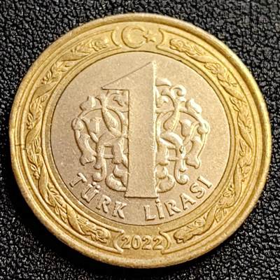 泉币菌-第62场-各国散币场 - 土耳其1里拉双色币 凯末尔总统 26mm
