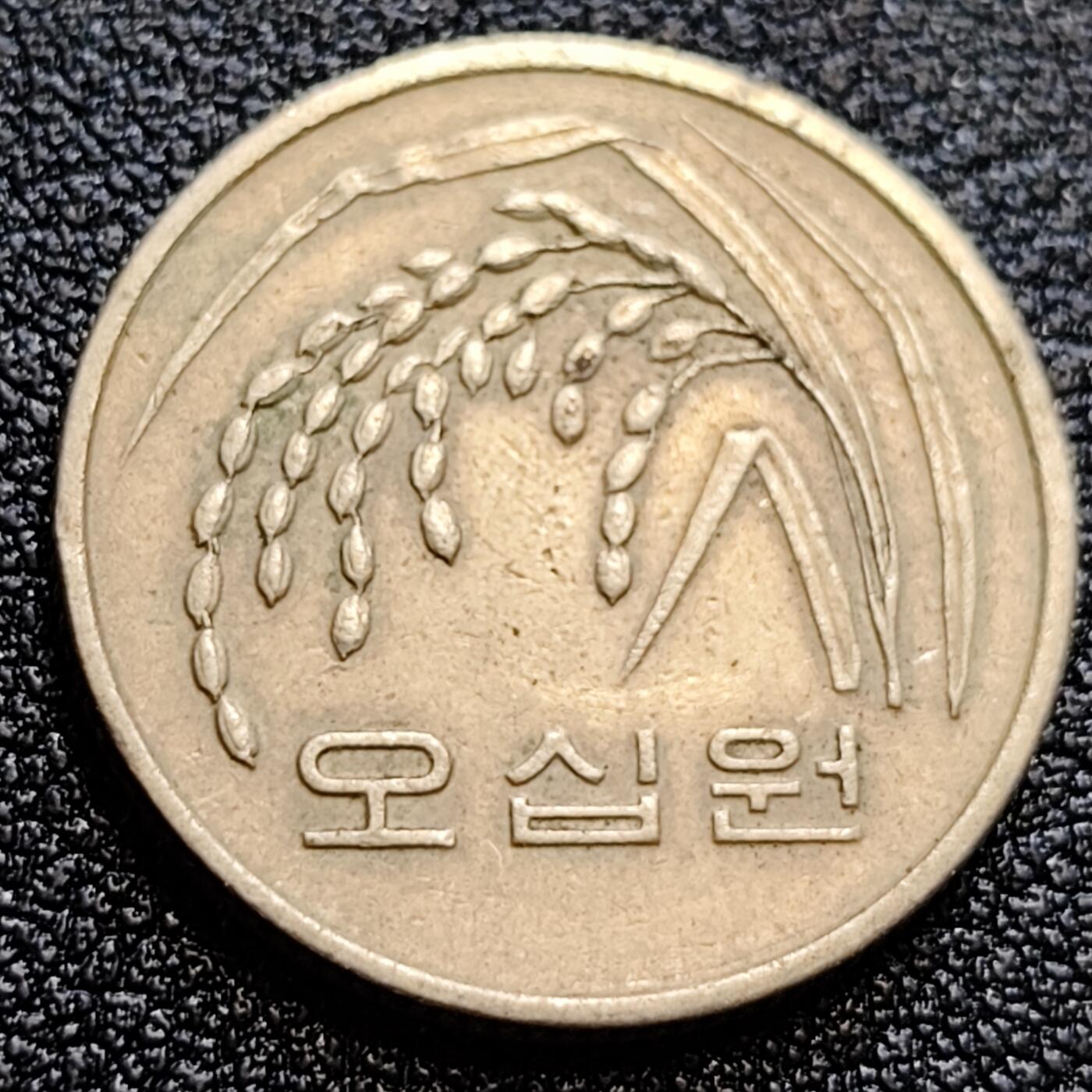 泉币菌-第61场-各国散币场