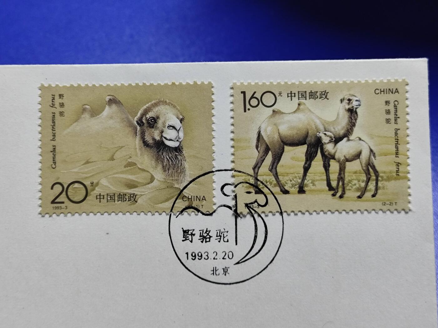 首日封、纪念封、特种封专场 1993-3《野骆驼》首日封