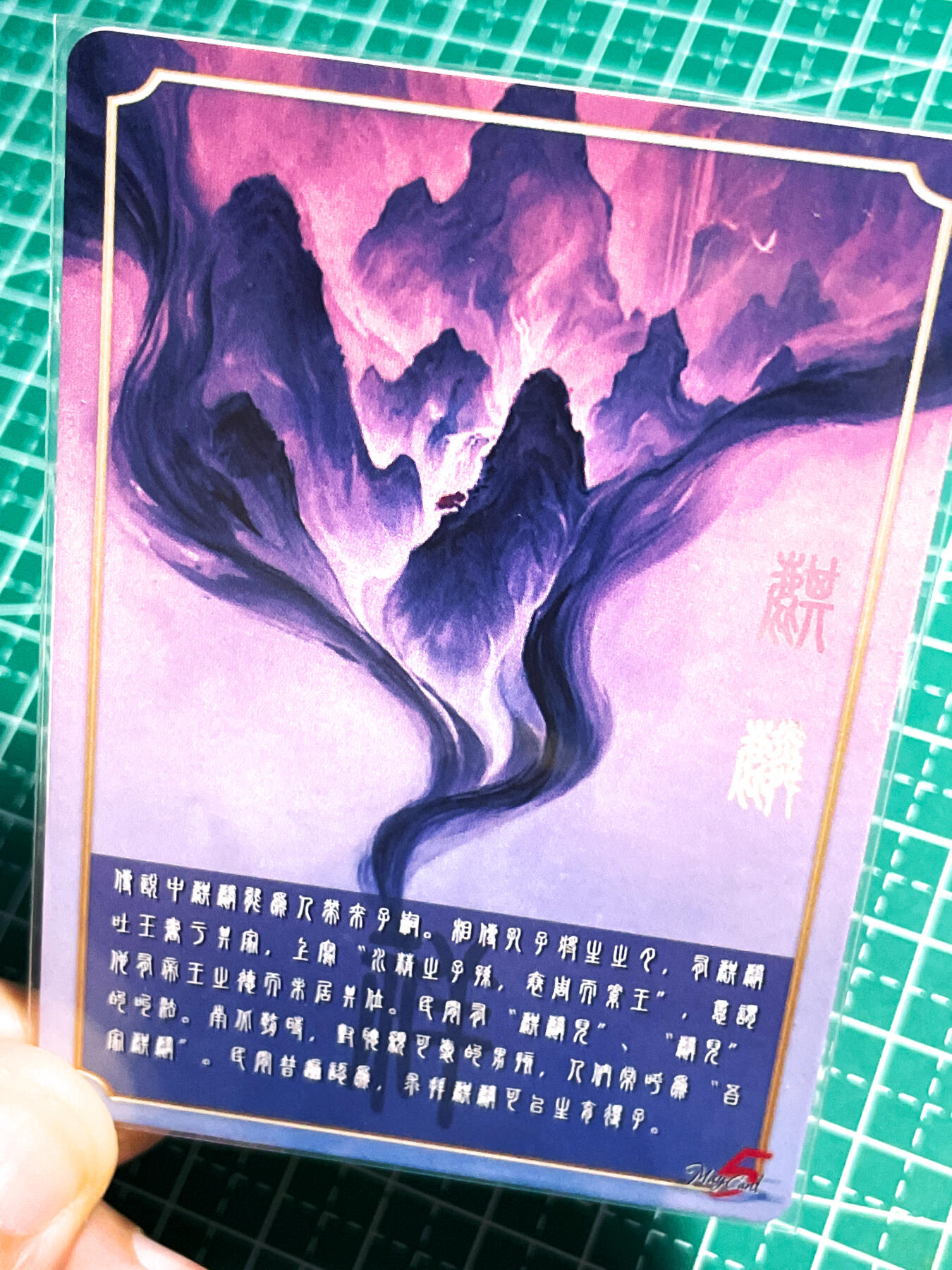 显眼宝24期 个人精选