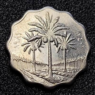 泉币菌-第65场-精品场（冲刺百粉，百粉继续福利） - 原光 伊拉克5费尔硬币  22mm 椰树