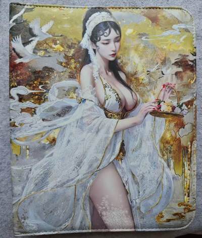 龙虎卡牌第四十七场 （无佣金，满120包邮，欢迎送拍） - 燎原刷子妖姬传9宫卡册（准新，含内页）
