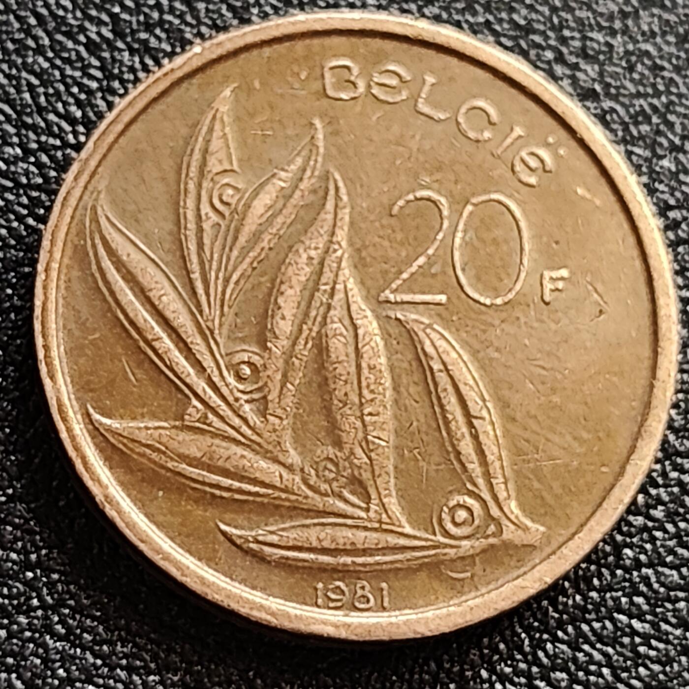 泉币菌-第65场-精品场