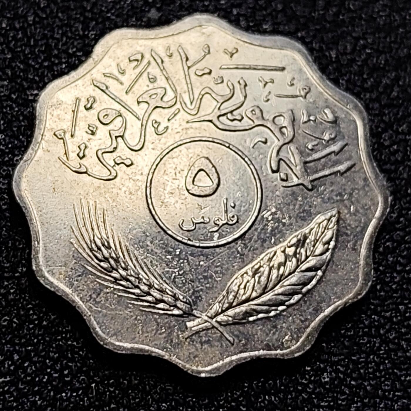泉币菌-第65场-精品场 原光 伊拉克5费尔硬币  22mm 椰树