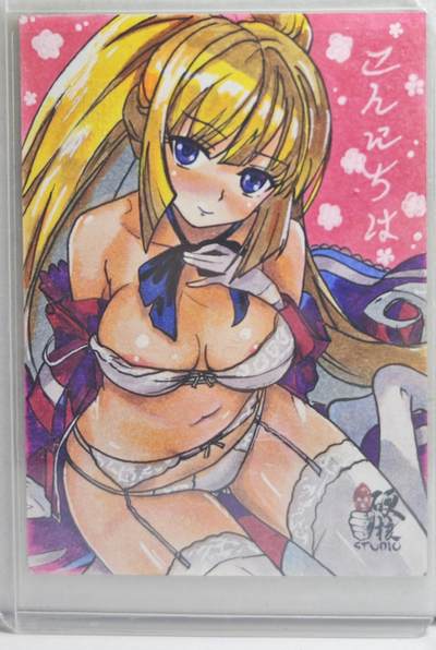 白泽拍卖卡牌手绘专场第21期（七月将残暑未收， 晚凉庭院独登楼） 2024 硬核手绘卡 维密魅魔 恩琳亲签 卡夹封装（后图有特效）