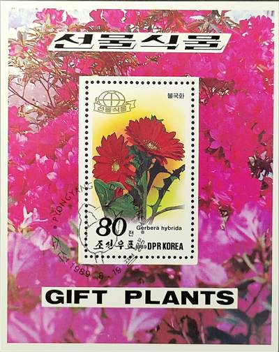 ↓君缘收藏539期☞钱币邮品↓无佣金、可寄存、满30元包邮  - 朝鲜邮票，1989年花卉 非洲菊邮票小型张