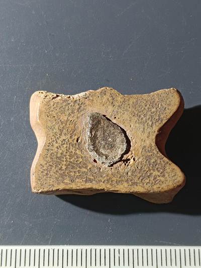57期回流戒指饰品杂件纪念章丝路钱币专场 - 文玩