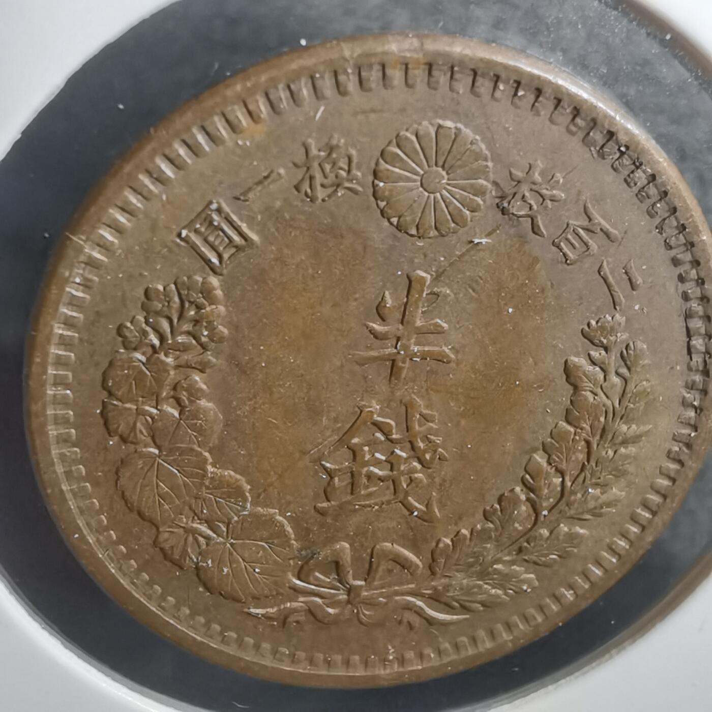 沼泽如烟--第793场