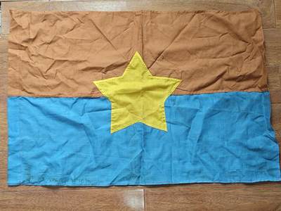 RimeNova韵星2025军品类夏季拍卖会-- RimeNova 2025 Summer Militaria Sale - 越南南方共和国（越共）战时时期国旗