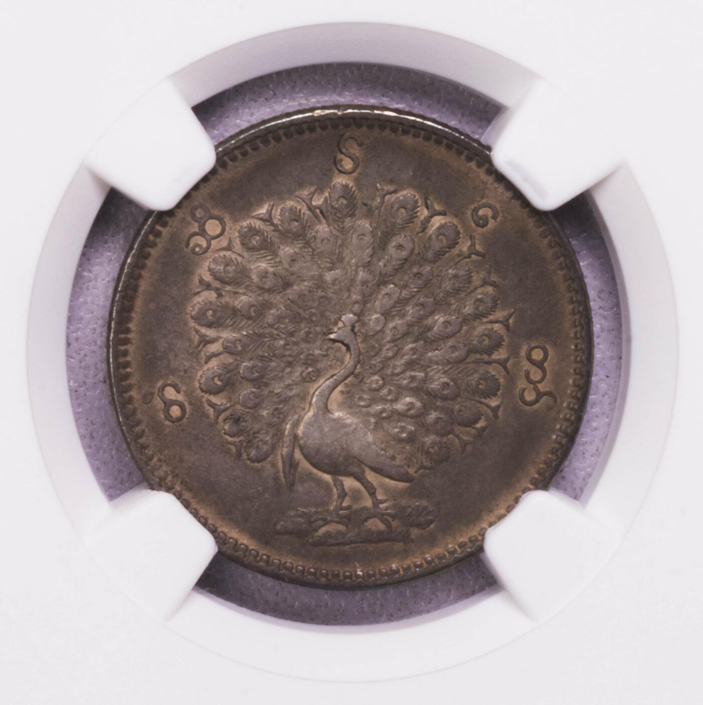 NGC-AU50 1852缅甸孔雀半卢比银币