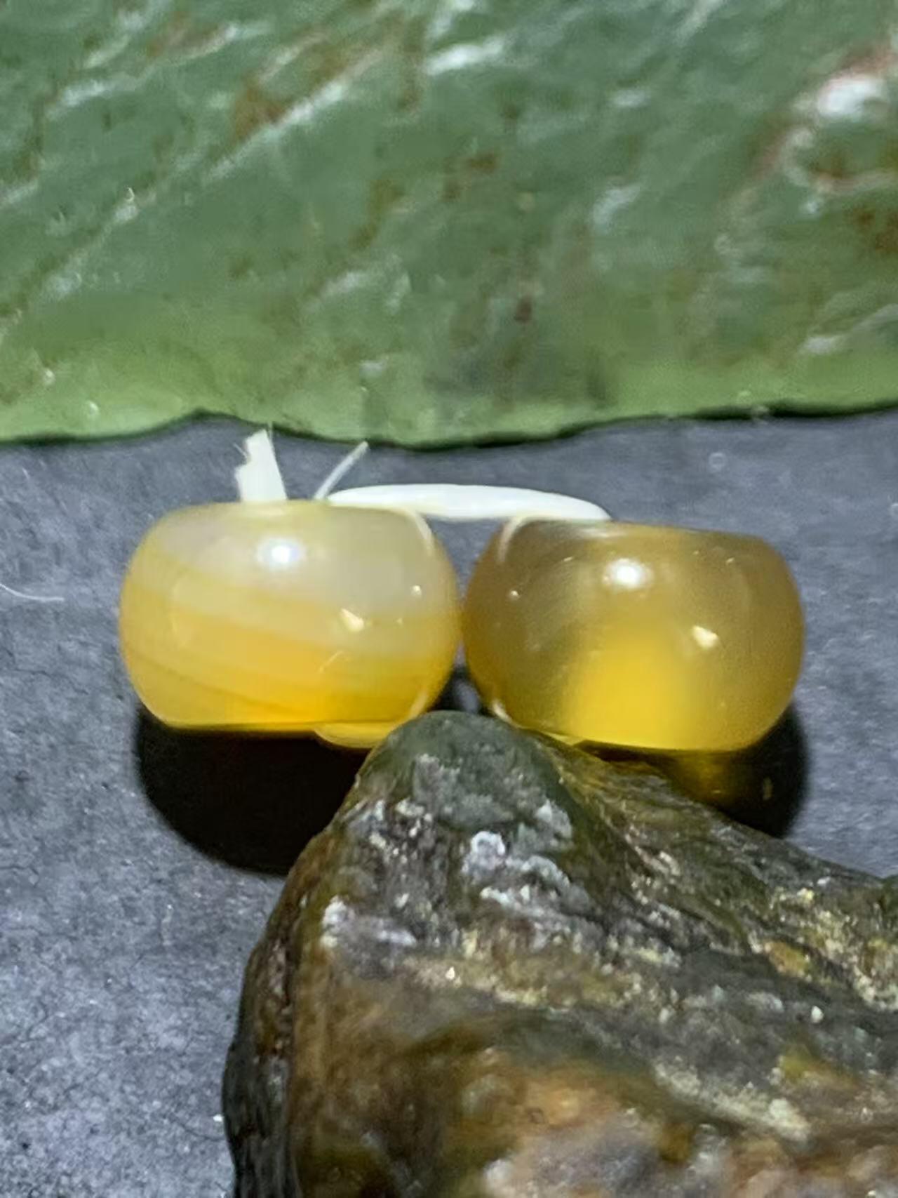 精美蒙料冻料战国红玛瑙腰珠一对