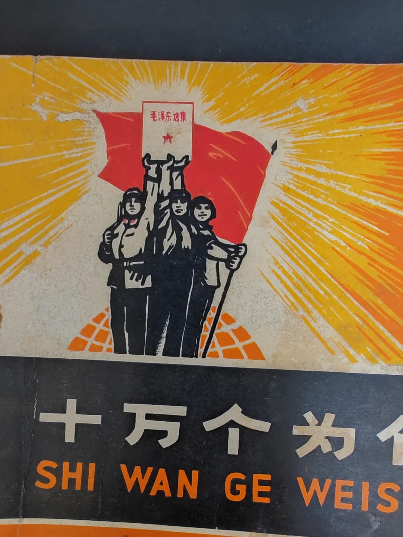 沧河堂书籍003 1970年  十万个为什么（4））
