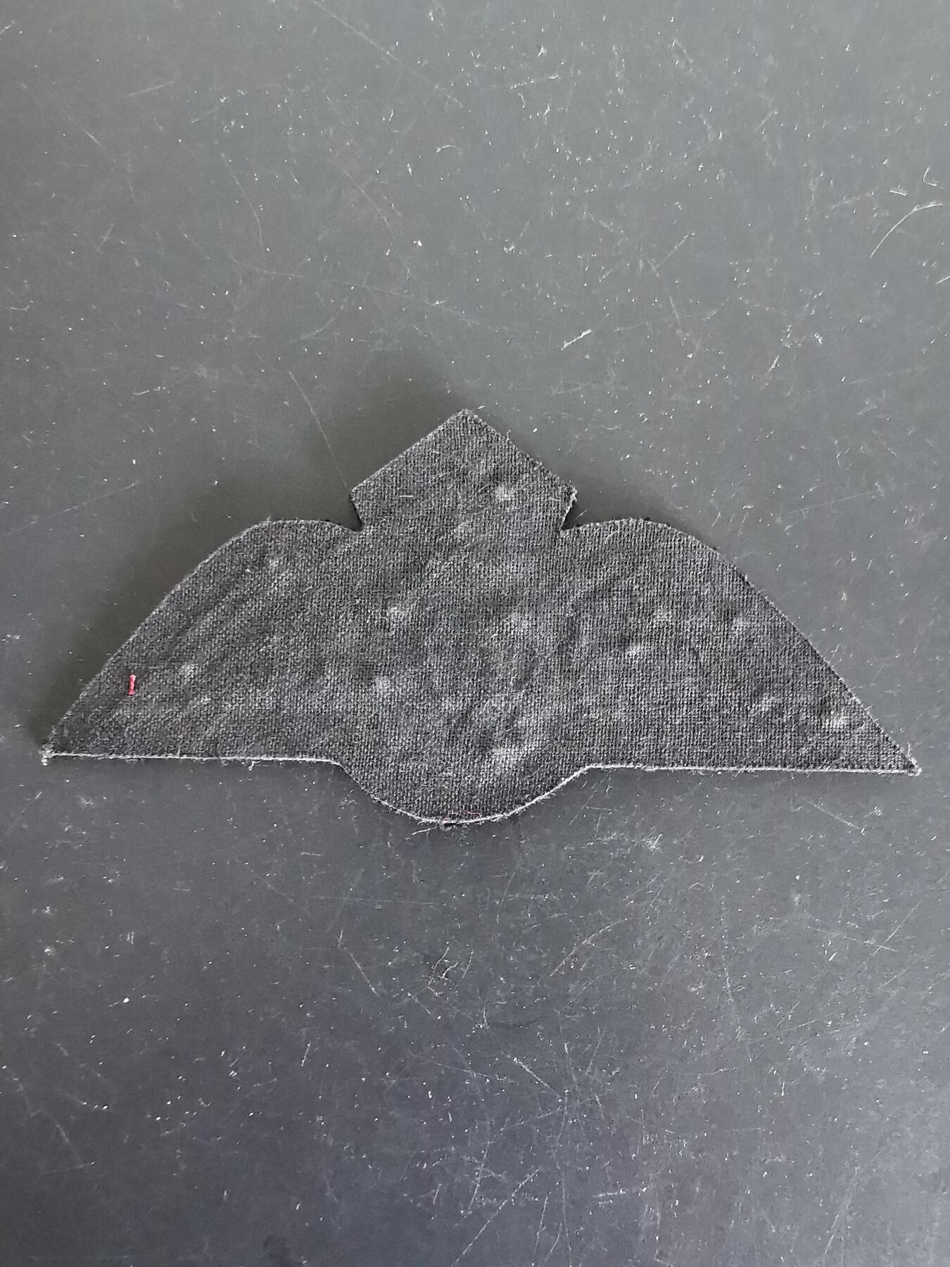 老王徽章第137期 英属印度皇家空军飞行员胸章