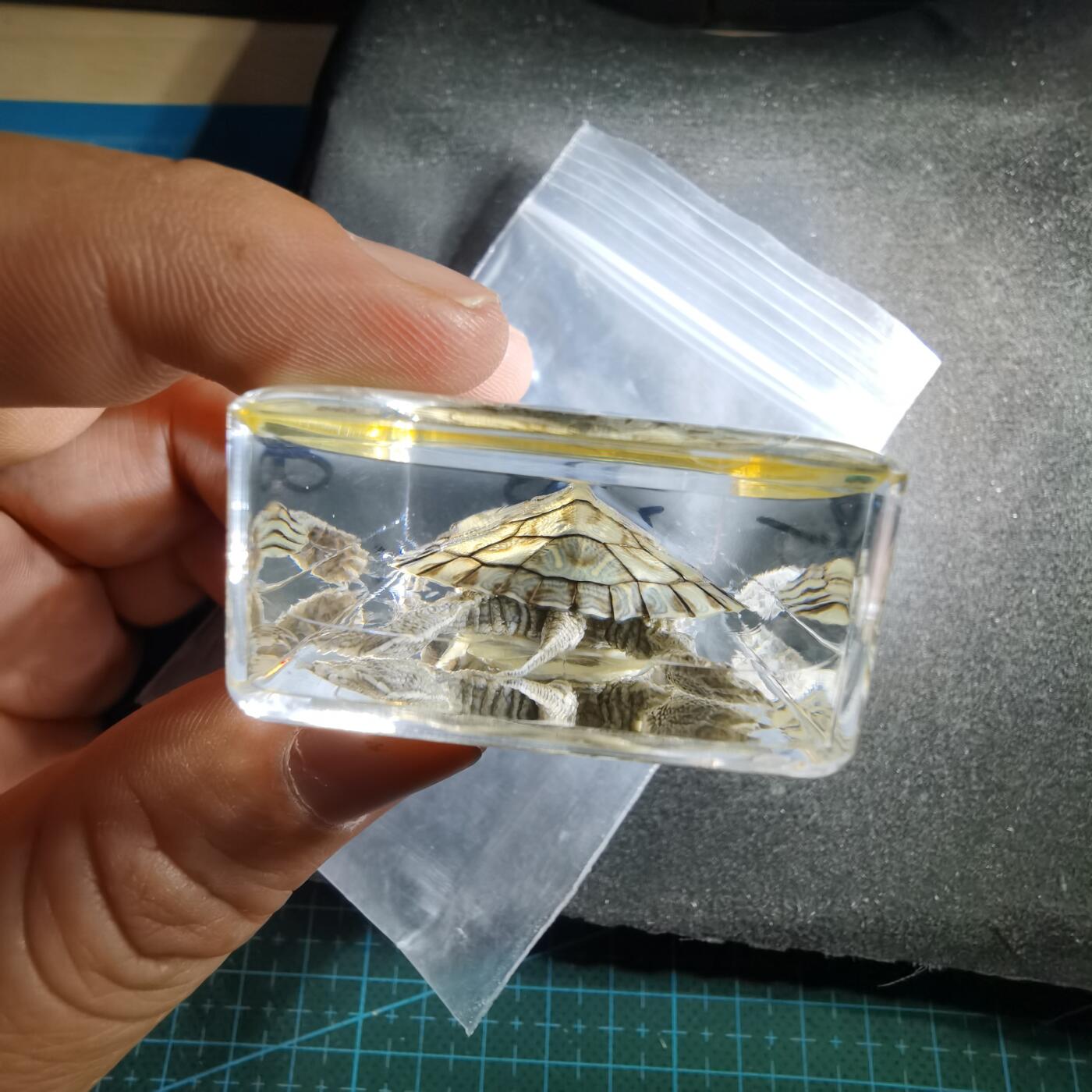 沼泽如烟--第794场
