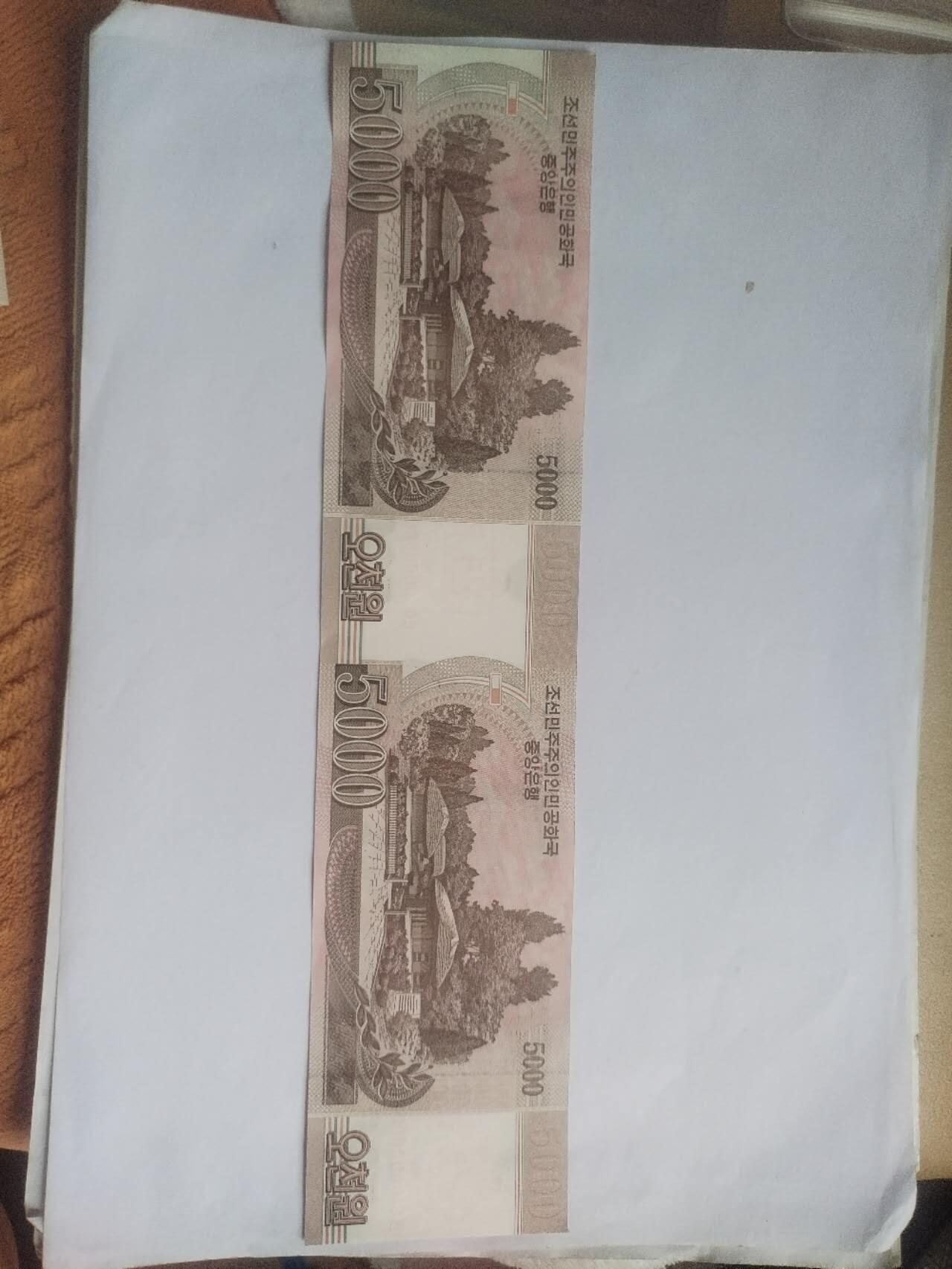 纸币专场