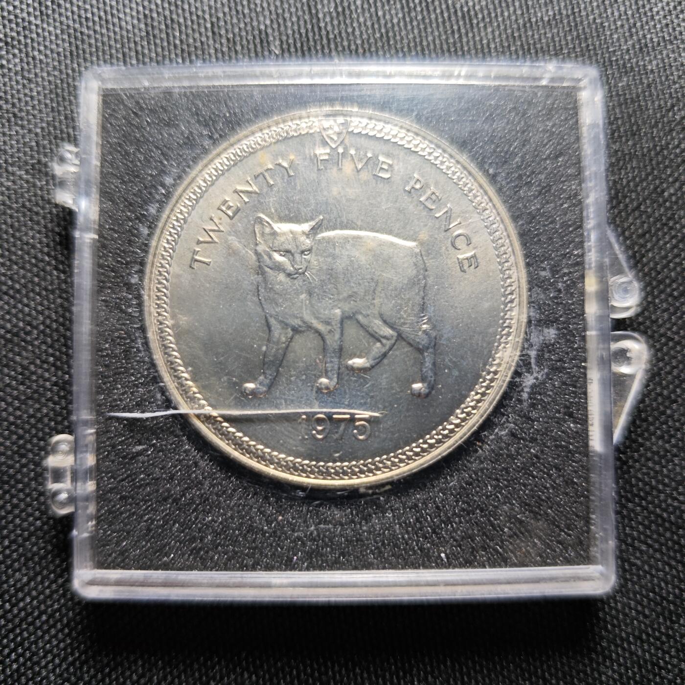 KK钱币收藏小铺 《批量/好品散币 套币 银币》专场 2月预留时间 周末发货  1975马恩岛克朗币 无尾猫 好品