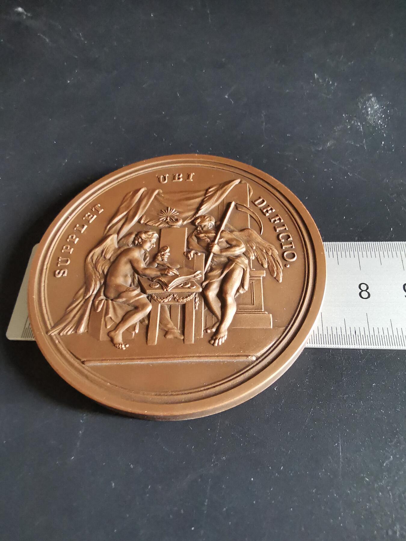 老王徽章第137期 德国卡尔斯学院艺术与科学学院奖大铜章   直径76mm   重量175.8g