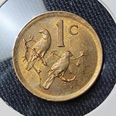 KK钱币收藏小铺 《批量/好品散币 套币 银币》专场 2月预留时间 周末发货 - 1984南非1分铜币 好品 