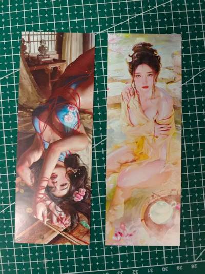 龙虎卡牌第四十七场 （无佣金，满120包邮，欢迎送拍） - 书签一套2张 燎原卡牌 ST_brush 刷子 人间传 杜夫人&春梅