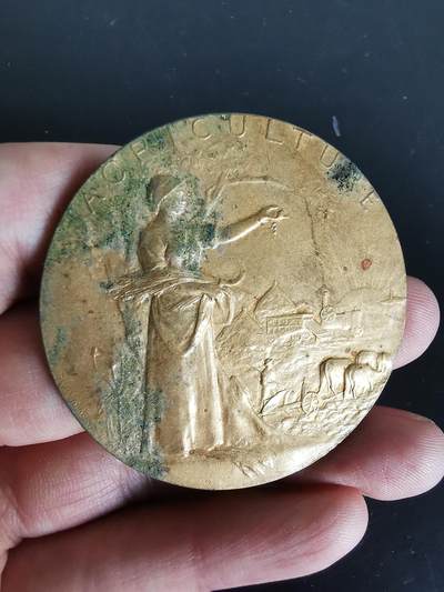 老王徽章第137期 - 法国农业镀金大铜章    直径50mm   重量48g