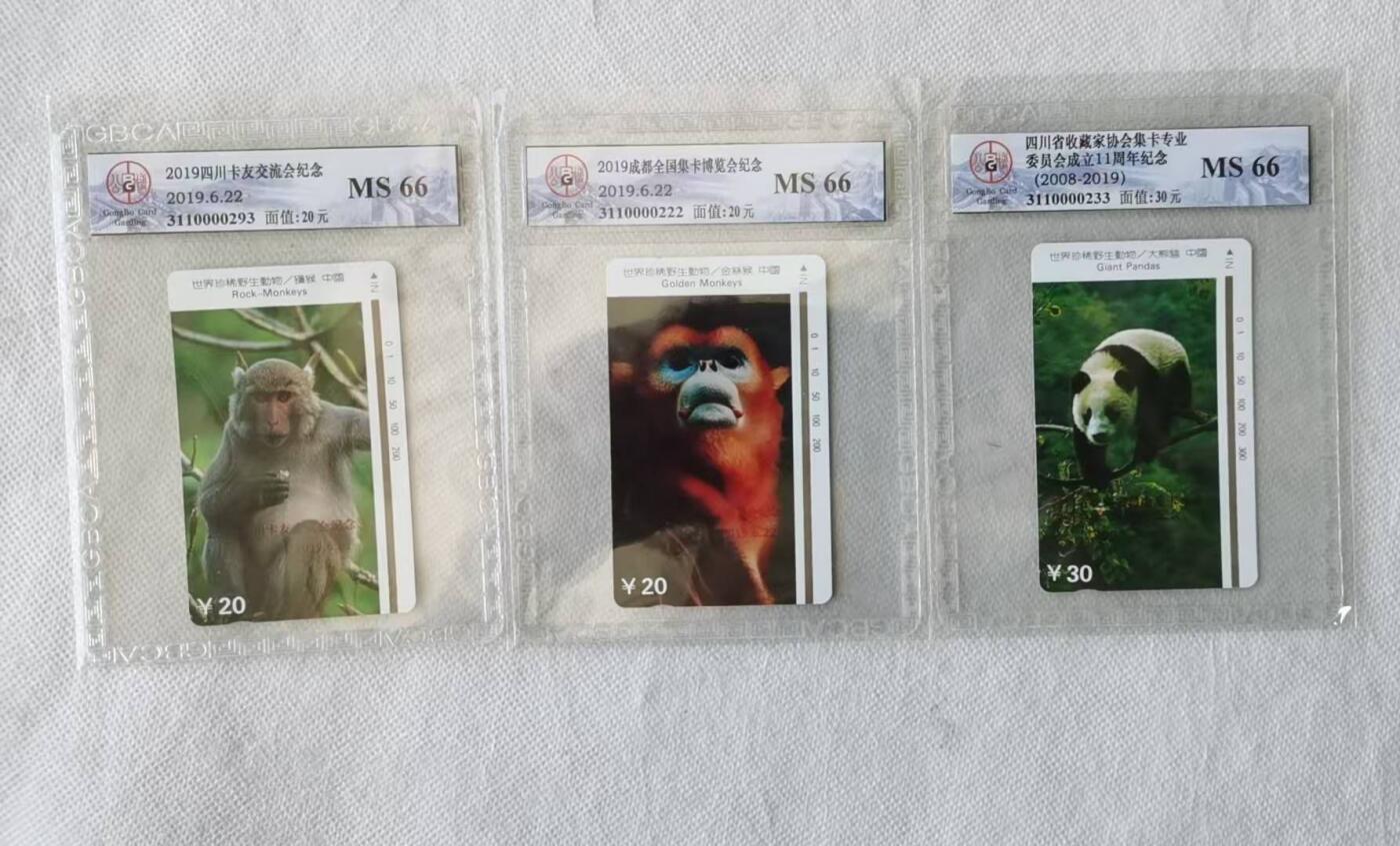 【琪哥网】评级磁卡综合场(八十二） 【公博66】2019年四川展览，卡友，收藏协会加字一组